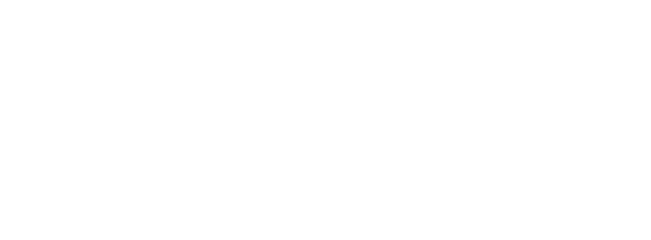 Frondevo - Full Service Web Agency